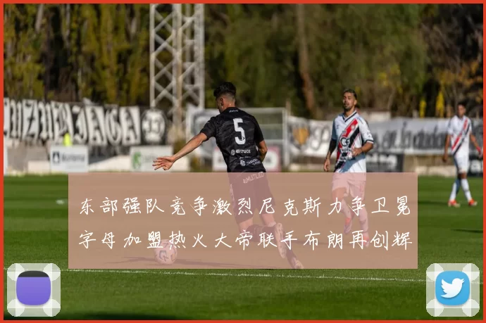 东部强队竞争激烈尼克斯力争卫冕字母加盟热火大帝联手布朗再创辉煌
