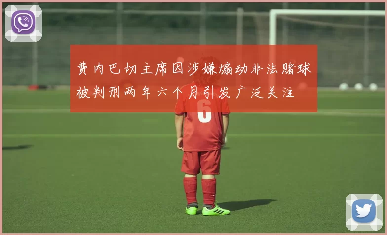 费内巴切主席因涉嫌煽动非法赌球被判刑两年六个月引发广泛关注
